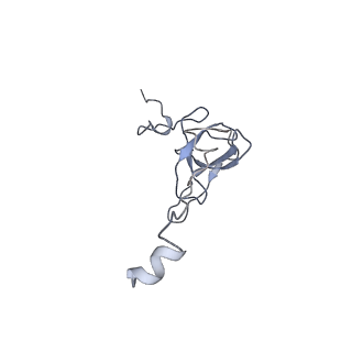 23528_7lv0_Q_v1-1
Pre-translocation rotated ribosome +1-frameshifting(CCC-A) complex (Structure Irot-FS)
