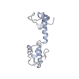 23528_7lv0_R_v1-1
Pre-translocation rotated ribosome +1-frameshifting(CCC-A) complex (Structure Irot-FS)