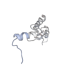 23528_7lv0_S_v1-1
Pre-translocation rotated ribosome +1-frameshifting(CCC-A) complex (Structure Irot-FS)