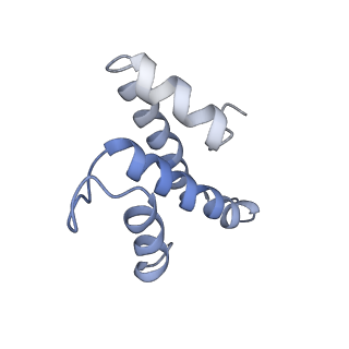 23528_7lv0_T_v1-1
Pre-translocation rotated ribosome +1-frameshifting(CCC-A) complex (Structure Irot-FS)