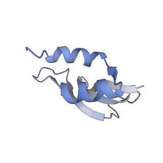 23528_7lv0_U_v1-1
Pre-translocation rotated ribosome +1-frameshifting(CCC-A) complex (Structure Irot-FS)