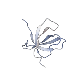 23528_7lv0_V_v1-1
Pre-translocation rotated ribosome +1-frameshifting(CCC-A) complex (Structure Irot-FS)