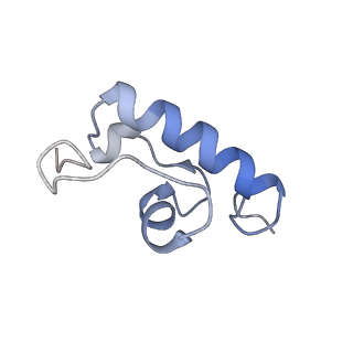 23528_7lv0_W_v1-1
Pre-translocation rotated ribosome +1-frameshifting(CCC-A) complex (Structure Irot-FS)