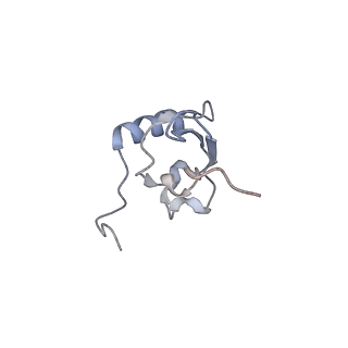 23528_7lv0_X_v1-1
Pre-translocation rotated ribosome +1-frameshifting(CCC-A) complex (Structure Irot-FS)