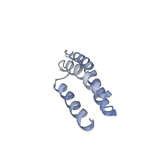 23528_7lv0_Y_v1-1
Pre-translocation rotated ribosome +1-frameshifting(CCC-A) complex (Structure Irot-FS)