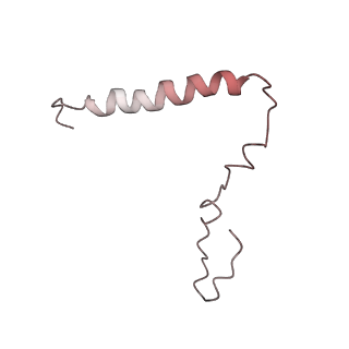 23528_7lv0_Z_v1-1
Pre-translocation rotated ribosome +1-frameshifting(CCC-A) complex (Structure Irot-FS)
