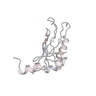 23528_7lv0_a_v1-1
Pre-translocation rotated ribosome +1-frameshifting(CCC-A) complex (Structure Irot-FS)
