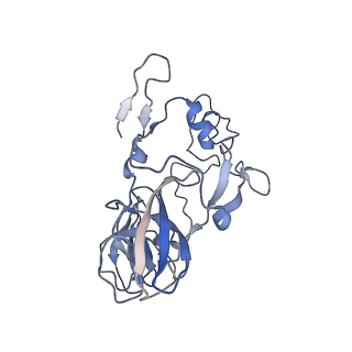23528_7lv0_b_v1-1
Pre-translocation rotated ribosome +1-frameshifting(CCC-A) complex (Structure Irot-FS)