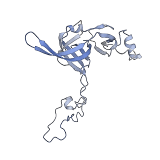 23528_7lv0_c_v1-1
Pre-translocation rotated ribosome +1-frameshifting(CCC-A) complex (Structure Irot-FS)