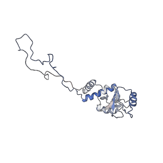 23528_7lv0_d_v1-1
Pre-translocation rotated ribosome +1-frameshifting(CCC-A) complex (Structure Irot-FS)