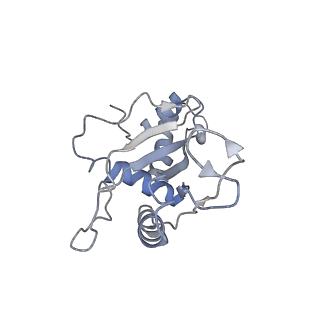 23528_7lv0_e_v1-1
Pre-translocation rotated ribosome +1-frameshifting(CCC-A) complex (Structure Irot-FS)