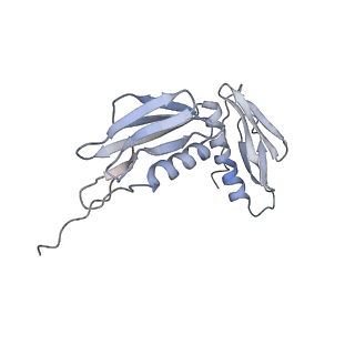 23528_7lv0_f_v1-1
Pre-translocation rotated ribosome +1-frameshifting(CCC-A) complex (Structure Irot-FS)