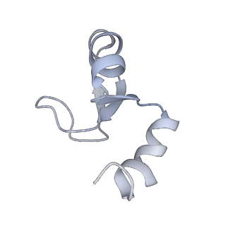 23528_7lv0_g_v1-1
Pre-translocation rotated ribosome +1-frameshifting(CCC-A) complex (Structure Irot-FS)