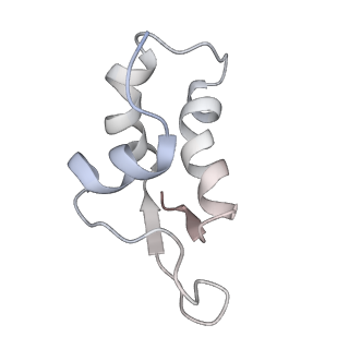 23528_7lv0_i_v1-1
Pre-translocation rotated ribosome +1-frameshifting(CCC-A) complex (Structure Irot-FS)