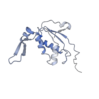 23528_7lv0_j_v1-1
Pre-translocation rotated ribosome +1-frameshifting(CCC-A) complex (Structure Irot-FS)