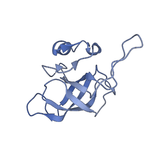 23528_7lv0_k_v1-1
Pre-translocation rotated ribosome +1-frameshifting(CCC-A) complex (Structure Irot-FS)
