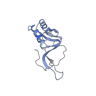23528_7lv0_m_v1-1
Pre-translocation rotated ribosome +1-frameshifting(CCC-A) complex (Structure Irot-FS)