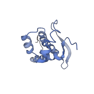 23528_7lv0_n_v1-1
Pre-translocation rotated ribosome +1-frameshifting(CCC-A) complex (Structure Irot-FS)