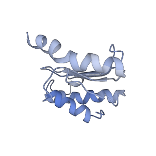 23528_7lv0_o_v1-1
Pre-translocation rotated ribosome +1-frameshifting(CCC-A) complex (Structure Irot-FS)