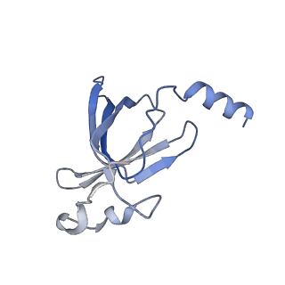 23528_7lv0_p_v1-1
Pre-translocation rotated ribosome +1-frameshifting(CCC-A) complex (Structure Irot-FS)