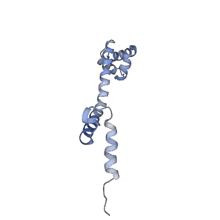 23528_7lv0_q_v1-1
Pre-translocation rotated ribosome +1-frameshifting(CCC-A) complex (Structure Irot-FS)