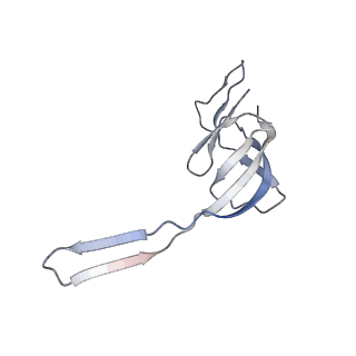 23528_7lv0_r_v1-1
Pre-translocation rotated ribosome +1-frameshifting(CCC-A) complex (Structure Irot-FS)
