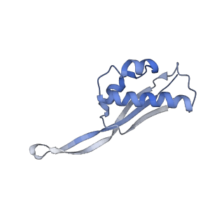 23528_7lv0_s_v1-1
Pre-translocation rotated ribosome +1-frameshifting(CCC-A) complex (Structure Irot-FS)