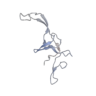 23528_7lv0_u_v1-1
Pre-translocation rotated ribosome +1-frameshifting(CCC-A) complex (Structure Irot-FS)