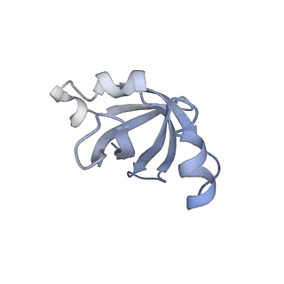 23528_7lv0_v_v1-1
Pre-translocation rotated ribosome +1-frameshifting(CCC-A) complex (Structure Irot-FS)