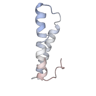 23528_7lv0_y_v1-1
Pre-translocation rotated ribosome +1-frameshifting(CCC-A) complex (Structure Irot-FS)