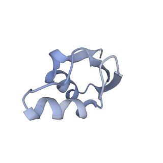 23528_7lv0_z_v1-1
Pre-translocation rotated ribosome +1-frameshifting(CCC-A) complex (Structure Irot-FS)