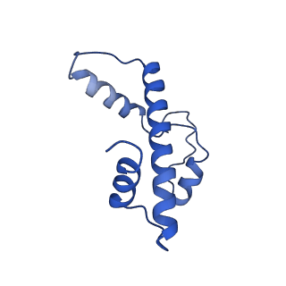 23529_7lv8_A_v1-2
Structure of the Marseillevirus nucleosome