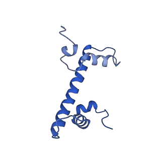23529_7lv8_C_v1-2
Structure of the Marseillevirus nucleosome