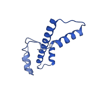 23529_7lv8_E_v1-2
Structure of the Marseillevirus nucleosome