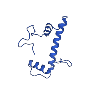 23529_7lv8_F_v1-2
Structure of the Marseillevirus nucleosome