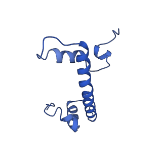 23529_7lv8_G_v1-2
Structure of the Marseillevirus nucleosome