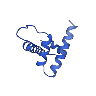 23529_7lv8_H_v1-2
Structure of the Marseillevirus nucleosome