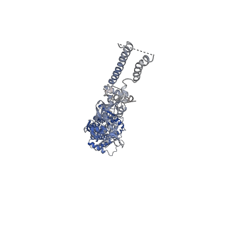23542_7lvt_A_v1-1
Structure of full-length GluK1 with L-Glu