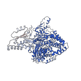 23543_7lvv_A_v1-2
cryoEM structure DrdV-DNA complex