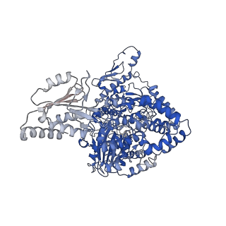 23543_7lvv_A_v1-3
cryoEM structure DrdV-DNA complex