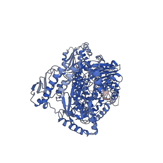 23543_7lvv_B_v1-2
cryoEM structure DrdV-DNA complex