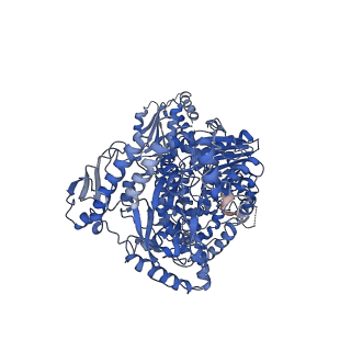 23543_7lvv_B_v1-3
cryoEM structure DrdV-DNA complex