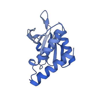 23543_7lvv_C_v1-2
cryoEM structure DrdV-DNA complex