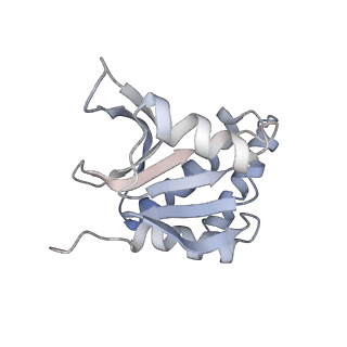 23543_7lvv_D_v1-2
cryoEM structure DrdV-DNA complex