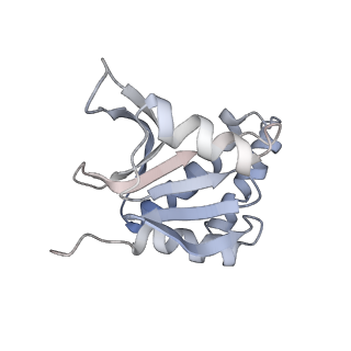 23543_7lvv_D_v1-3
cryoEM structure DrdV-DNA complex