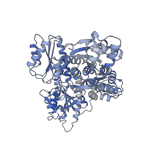 23544_7lw1_A_v1-0
Human phosphofructokinase-1 liver type bound to activator NA-11