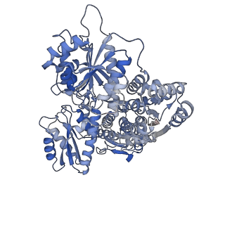 23544_7lw1_D_v1-0
Human phosphofructokinase-1 liver type bound to activator NA-11