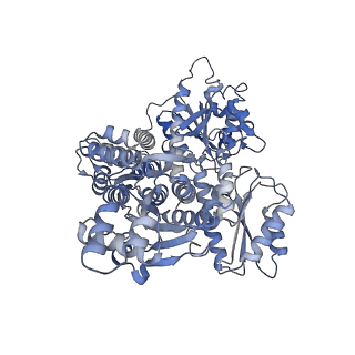 23544_7lw1_E_v1-0
Human phosphofructokinase-1 liver type bound to activator NA-11