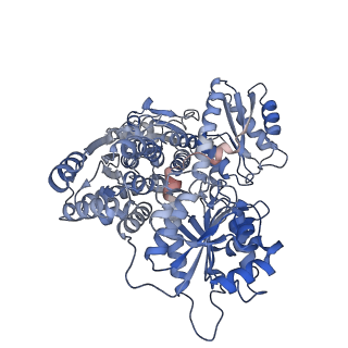 23544_7lw1_F_v1-0
Human phosphofructokinase-1 liver type bound to activator NA-11