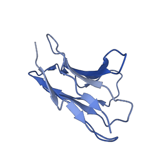 23545_7lwd_L_v1-1
Cryo-EM structure of the wild-type human serotonin transporter complexed with vilazodone, imipramine and 15B8 Fab